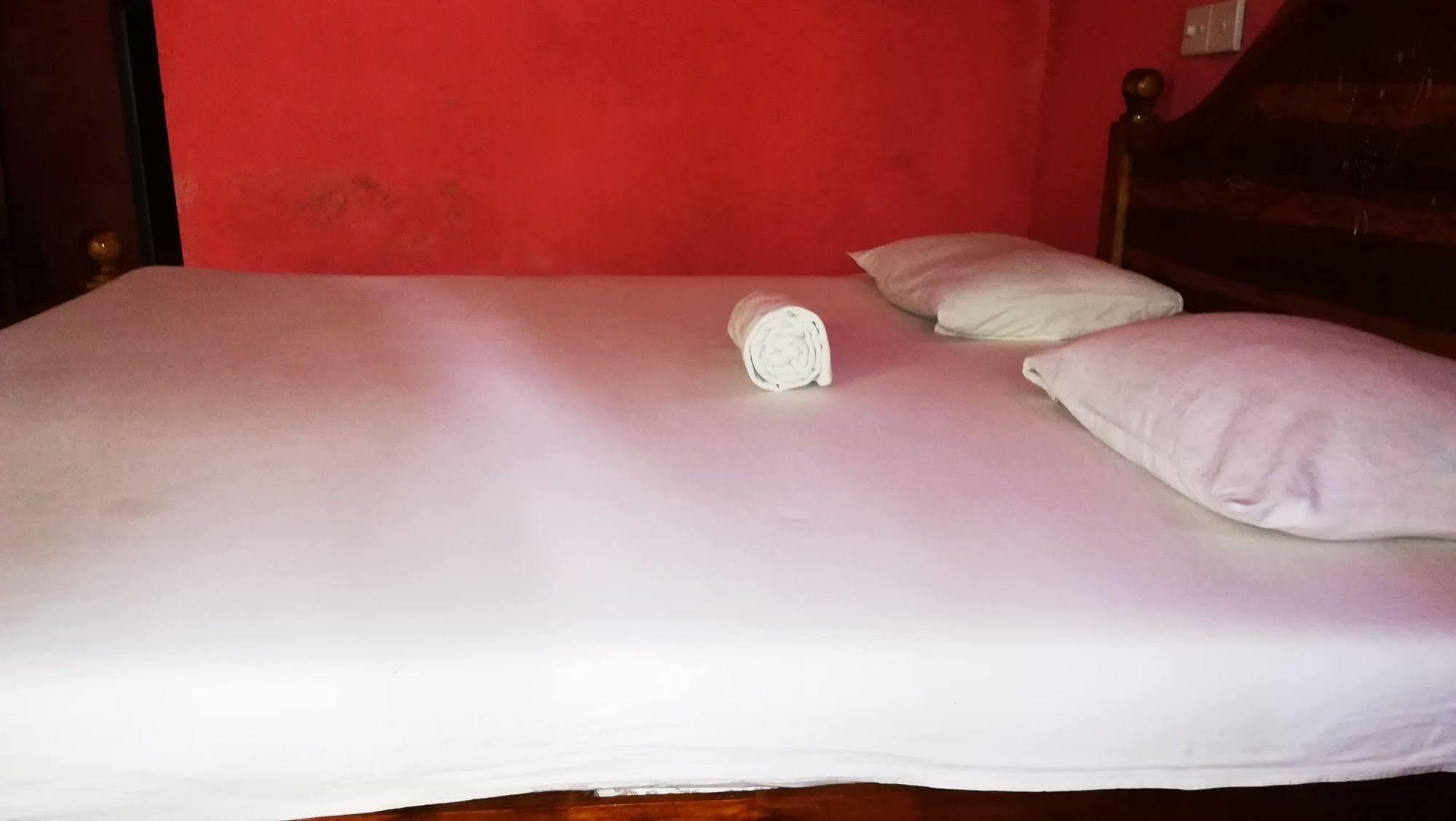 Bluesky Guest House Дамбулла Екстер'єр фото